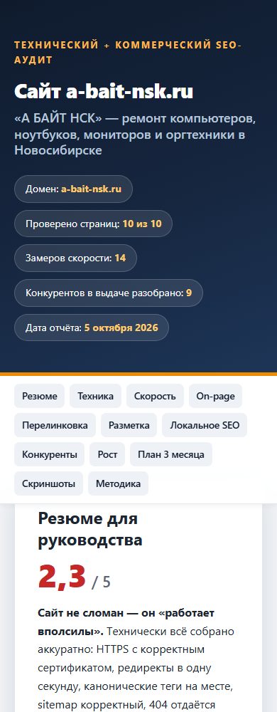 Верхняя часть отчёта на узком экране