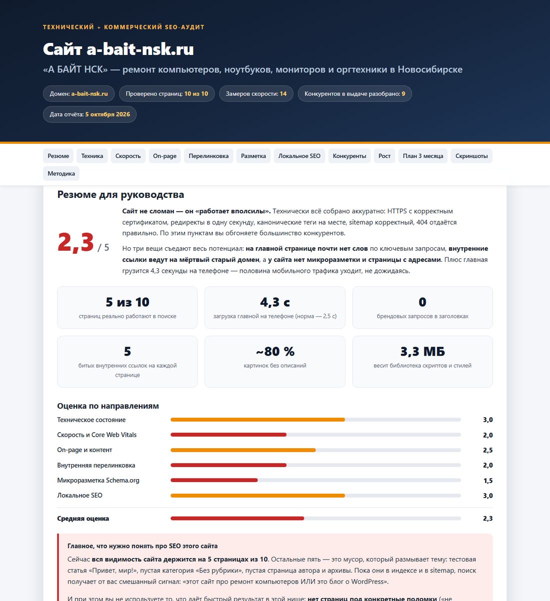 Скриншот титульного экрана приложенного HTML-отчёта с оценкой сайта