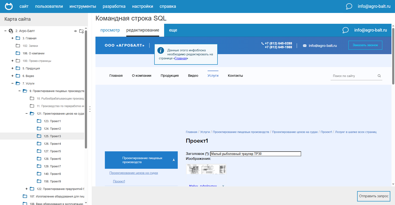 Опубликованная статья-кейс в карточке проекта
