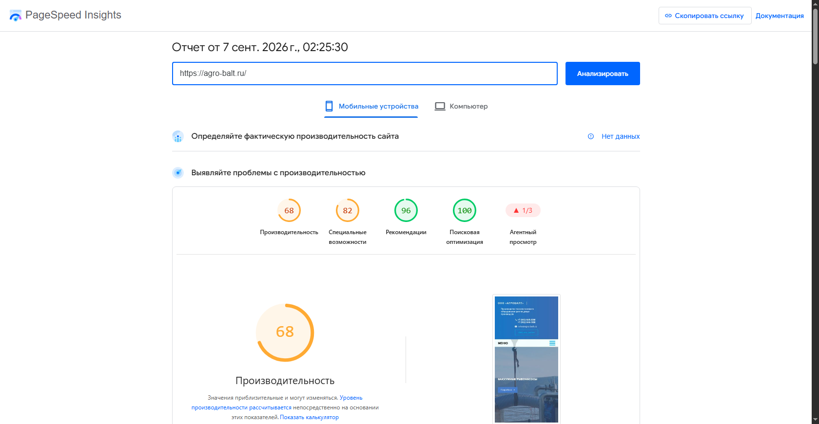 PageSpeed после оптимизации agro-balt.ru
