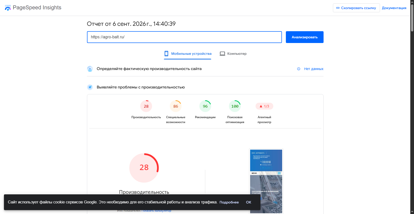 PageSpeed Mobile до оптимизации — 28 баллов